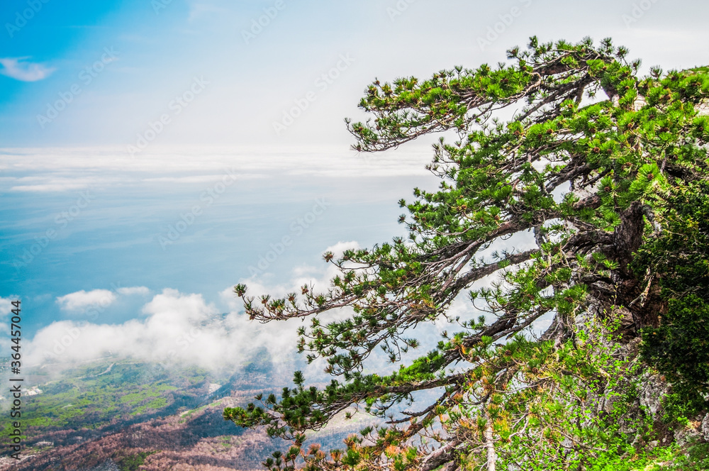Photo from top of mountain, beautiful horizon Photo from top of mountain, beautiful horizon