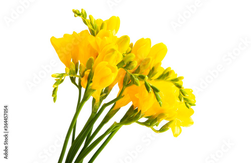 beautiful bouquet of yellow freesia
