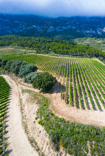Landscape of vineyards and forest in the Sierra de Cantabria from a drone. Leza. Alava Province. Autonomous Community of the Basque Country. Spain. Europe