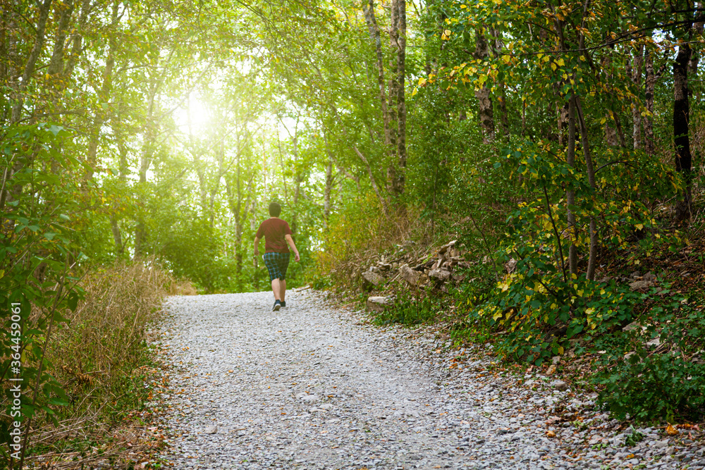 Fototapeta premium Young man walks along a path in a mountain forest.