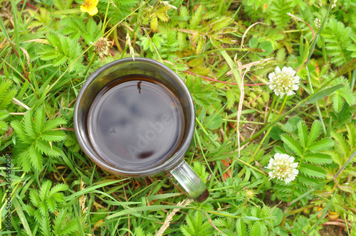 A cup of hot herbal tea in meadow herbs. Summer sunny day