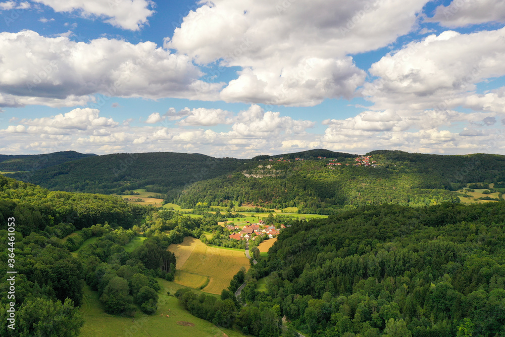 Aerial view of forest