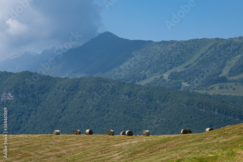 Obraz na płótnie Paesaggio di montagna vicino Brentonico w salonie