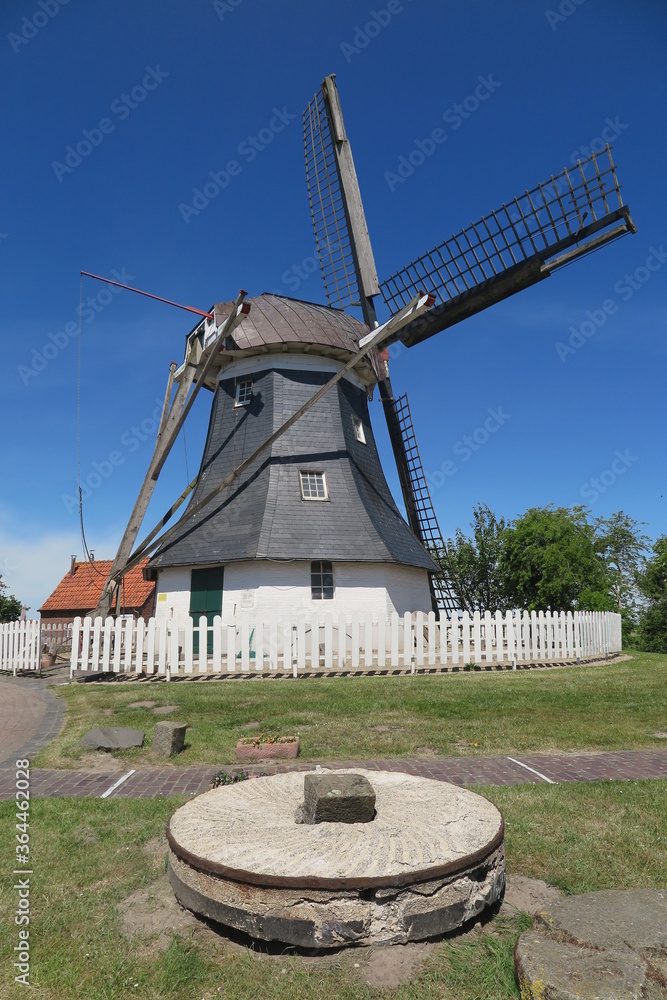 Obraz premium Werdumer Mühle, Ostfriesland