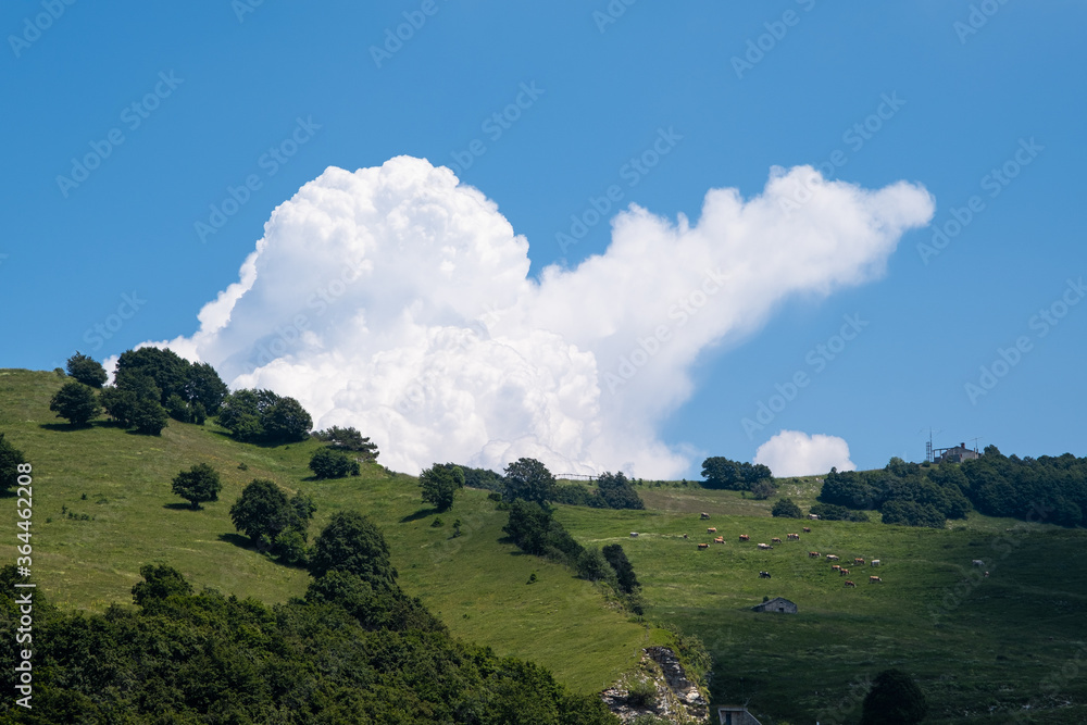 Paesaggio di montagna vicino Brentonico