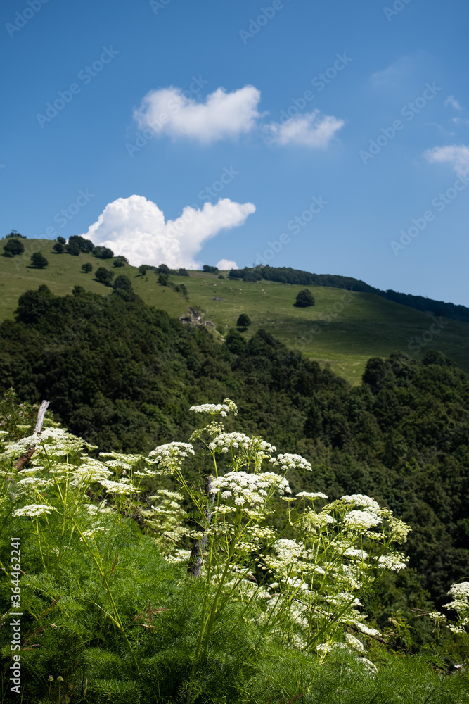 Paesaggio di montagna vicino Brentonico