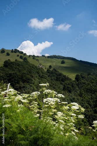 Obraz na płótnie Paesaggio di montagna vicino Brentonico w salonie