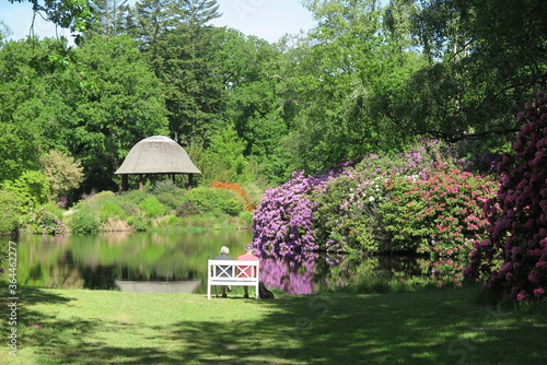 Schlosspark zu Lütetsburg, Ostfriesland photo