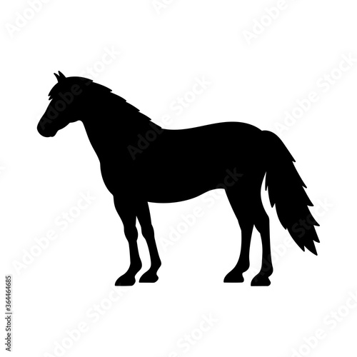 Vector illustration of black horse silhouette isolated on white background
