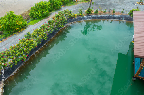 Beautiful green small water pond in the countryside, green scene with fresh air for Thailand travel, beautiful countryside .Picturesque landscape.