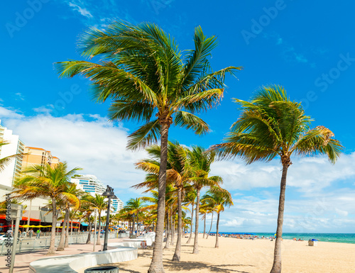 Coconut palm trees and white sand in Fort Lauderdale