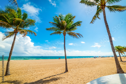 Palm trees and white sand in Las Olas beach