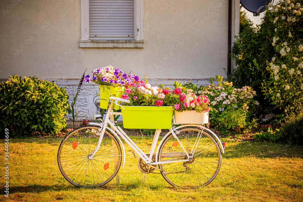 Fahrrad mit Blumen in einem Vorgarten vor einem Haus