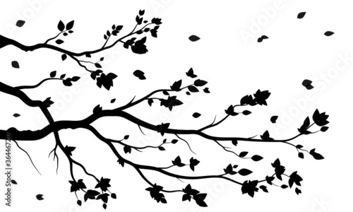 black branch and leaves tree style. white background style.Can be used for your work.