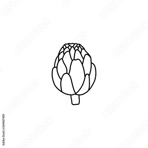 Hand drawn artichoke in black line, simple icon in doodle style, fresh green vegetable. Vector illustration on isolated white background. 