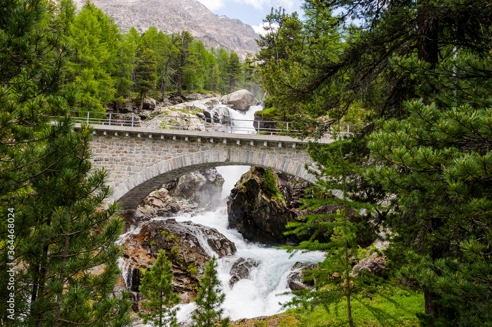 Fototapeta premium Val Bernina, Berninatal, Ova da Bernina, Bergbach, Wasserfall, Wasserkraft, Wald, Wanderweg, Oberengadin, Passstrasse, Berninapass, Pontresina, Alpen, Sommer, Graubünden, Schweiz