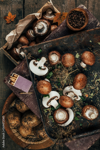 Still life with mushrooms on a wooden background. The dark style. The view from the top.