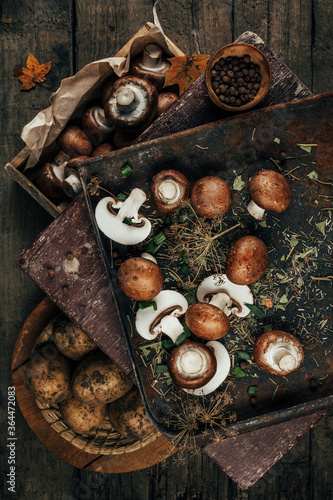 Still life with mushrooms on a wooden background. The dark style. The view from the top.