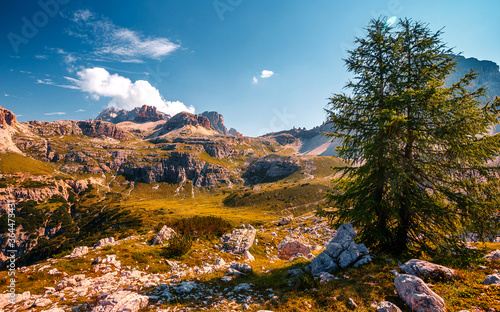 Summer mountain landscape in Dolomites Alps. scenic mountains view shot at Tre Cime di Lavaredo National Park. Italy. Awesome Alpine Highland in sunny day. Amazing nature Background. Beautiful world