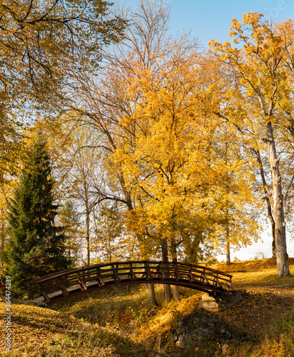 autumn in the park