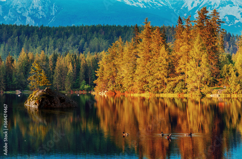 Wonderful picturesque Scene. Awesome Autumn landscape. Incredible view of Strbske Pleso lake, during sunset, Slovakia. Popular tourist attraction. Location place National Park High Tatra. Europe.