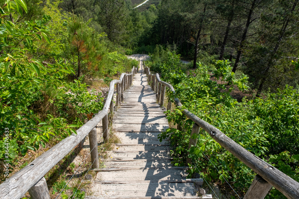 Obraz premium Timbre wooden stairs in the dunes near the sea in the netherlands