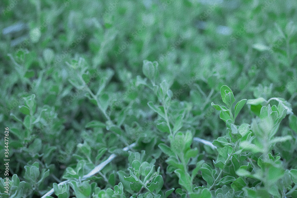 lush green shrub wallpaper looks like abstract painting lush green shrub wallpaper looks like abstract painting