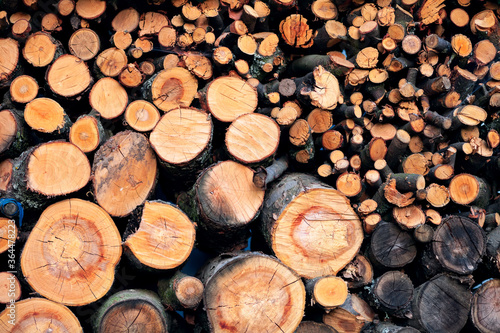 Firewood in logs  large and small chopped branches. for the bath and fireplace. Natural fuel for the fireplace and heating the house  barbecue  cooking barbecue and meat on the grill