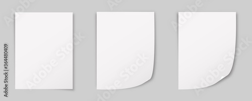 A4 paper corner curl vector isolated mockup