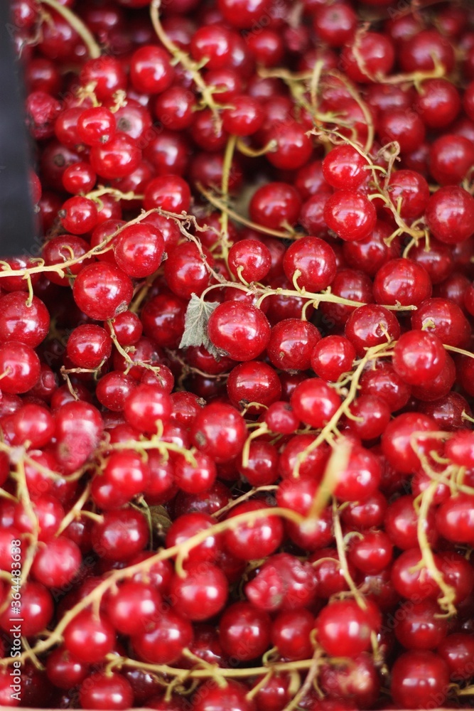 Ripe red currants on the market macro Ripe red currants on the market macro
