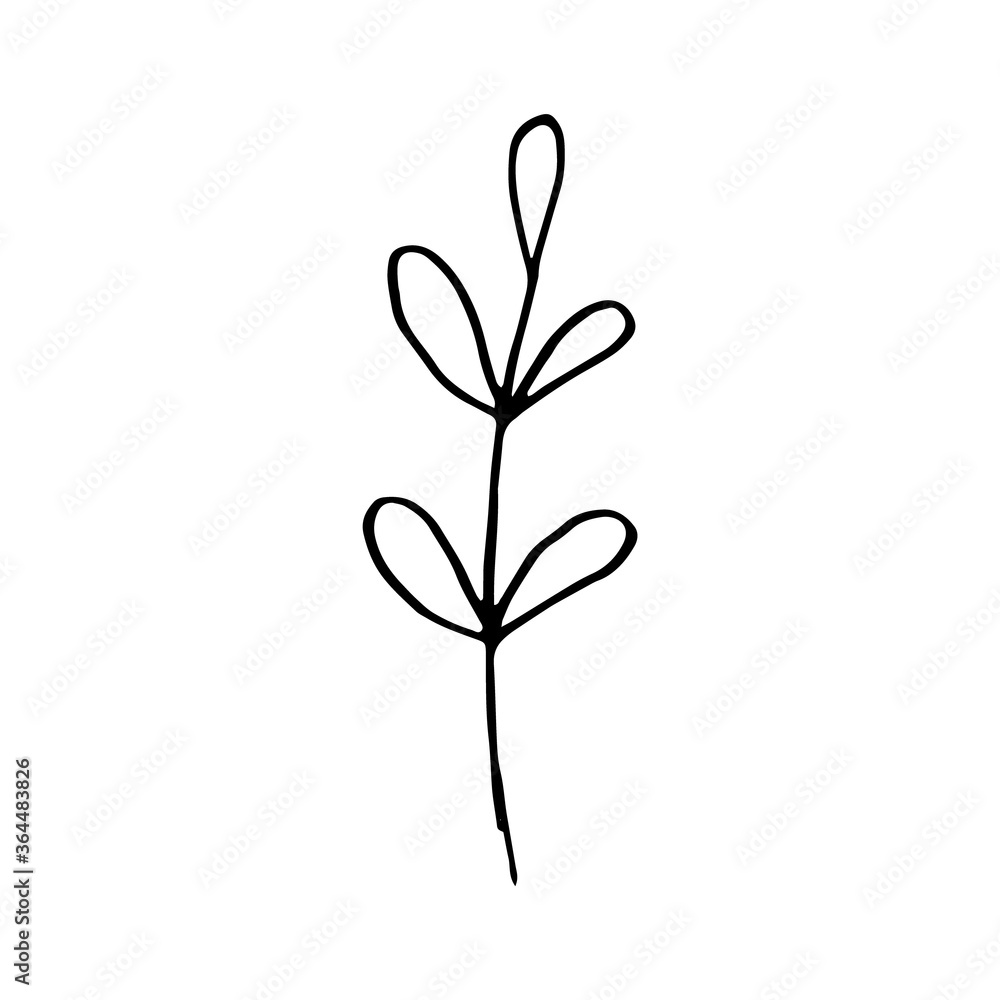 Cute single hand drawn herbal elements. Doodle vector illustration for wedding design, logo and greeting card. Traditional hand drawn spring flowers in ink style.