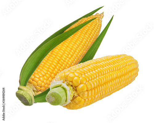 Corn isolated on white background