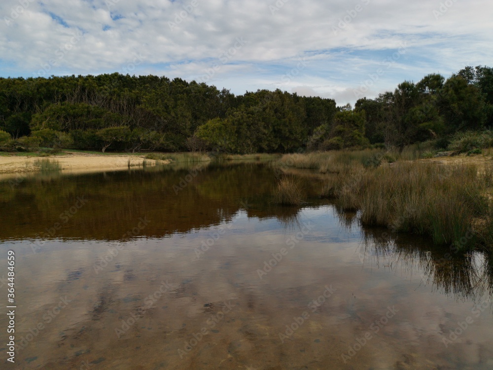 Beautiful view of trees and blue cloudy sky reflected on small lagoon, Royal National Park, New South Wales, Australia Beautiful view of trees and blue cloudy sky reflected on small lagoon, Royal National Park, New South Wales, Australia