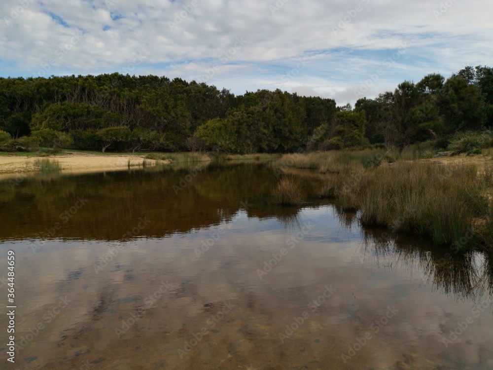 Beautiful view of trees and blue cloudy sky reflected on small lagoon, Royal National Park, New South Wales, Australia