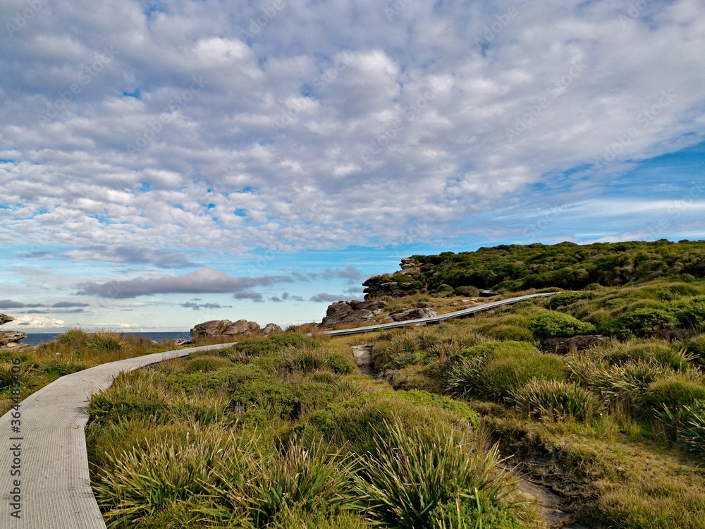 Beautiful coastal trail along the ocean near Wattamolla beach, Royal National Park, New South Wales, Australia Beautiful coastal trail along the ocean near Wattamolla beach, Royal National Park, New South Wales, Australia