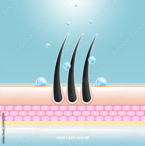 Hair care serum follicle diagnostics. Anatomy skin, medical human, epidermis layer, vector illustration design.