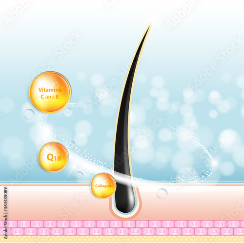 Hair care serum follicle diagnostics. Anatomy skin, medical human, epidermis layer, vector illustration design.