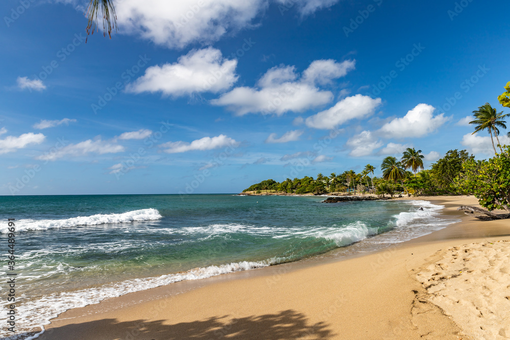 White  sand beach in Schoelcher, Martinique, France