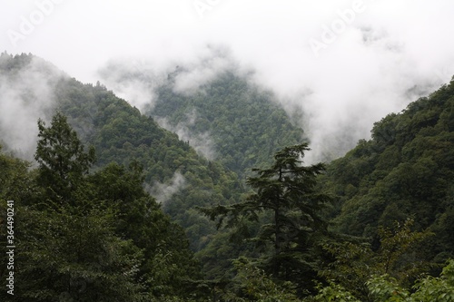 山, 風景, 自然, 森, 当惑, 雲, 雲, 山, 空, かすみ, 木, 緑, 頂点, 景色, ヒル, 木, サマータイム, 旅行, 岩, モーニング, 乗り切る, 美しい, 雨, 草