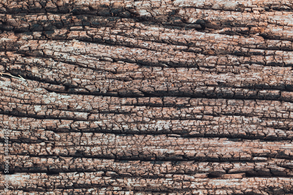 The old wooden patterned background has faded from the sun and the weather for a long time. The old wooden patterned background has faded from the sun and the weather for a long time.