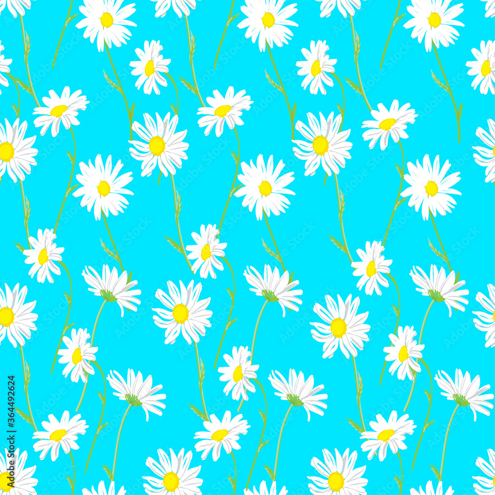 Seamless pattern with white chamomile flowers on blue background, medicinal plant. Hand drawn. For gift wrap, book covers, textile, wallpapers, scrapbook.