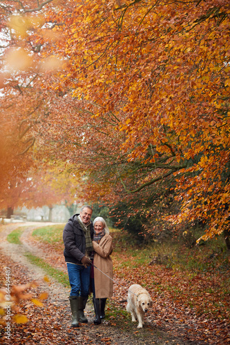 Loving Senior Couple Walking With Pet Golden Retriever Dog Along Autumn Woodland Path Through Trees © Monkey Business
