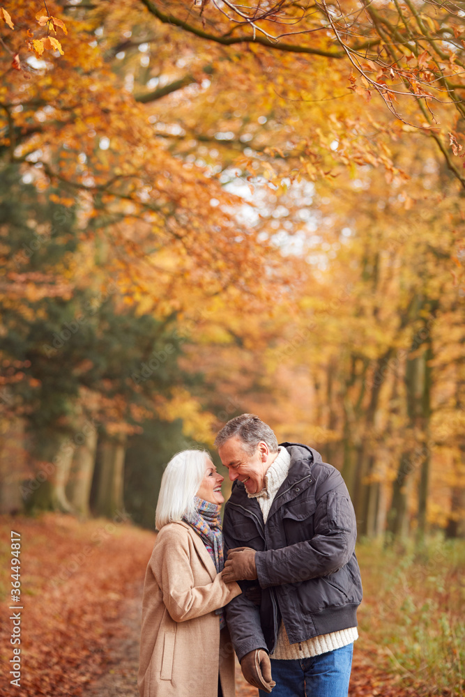 Loving Senior Couple Holding Hands As They Walk Along Autumn Woodland Path Through Trees Together Loving Senior Couple Holding Hands As They Walk Along Autumn Woodland Path Through Trees Together