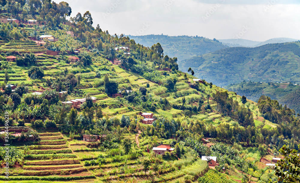 A steep hill in the Muvumba river valley in Rwanda, entirely covered with terraced fields and dotted with houses.