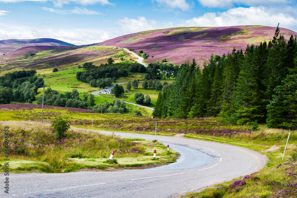 Φωτογραφία Picturesque road in Scottish Highlands, Cairngorms National Park near Lecht Ski