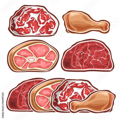 Vector Set of different raw Meat, lot collection of 5 cut out illustrations of assorted meat pieces on white background.