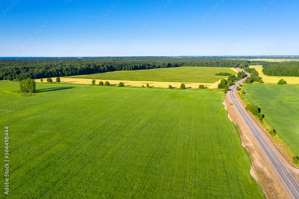Naklejka premium Asphalt road near summer forest and field with trees. Wild nature