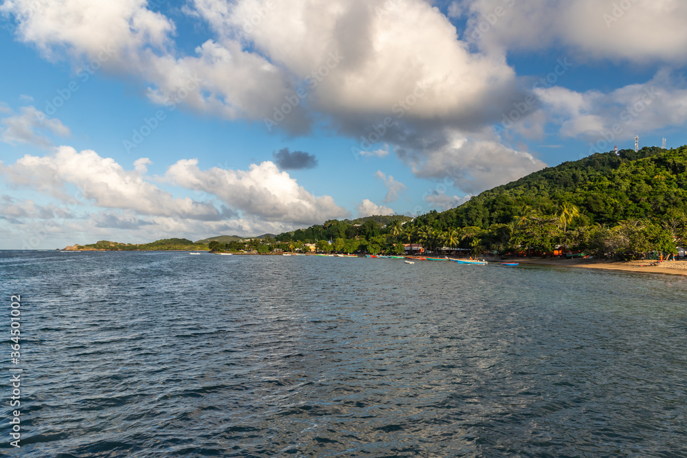 custom made wallpaper toronto digitalFishing boats in water in Trinite, Martinique, France