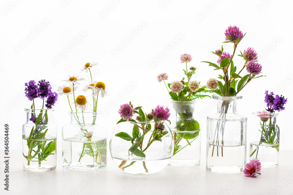 Naklejka letnie dzikie kwiaty lecznicze i zioła w szklanych słoikach. Medycyna alternatywna