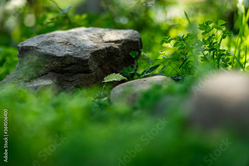 Large stone lying on the green grass, close-up, shallow depth of field, selective focus. Nature concept in kind